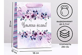 Упаковочная сумочка 18*23 Исполнения желаний 10165939
