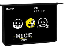 Папка для тетрадей А4 Berlingo PP-BP-1202 с ручками 1 отделение, "I'm really a nice guy", 340*245*100мм, пластик, на молнии