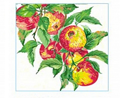 Салфетки 40л.Design Яблочная ветвь