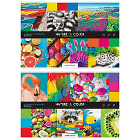 Альбом для рисования 40л. ArtSpace А40_26234 "Стиль. Nature and color"