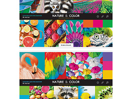 Альбом для рисования 40л. ArtSpace А40_26234 "Стиль. Nature and color"