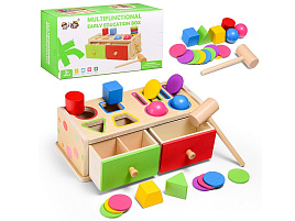 Сортер D2173 Логика и мышление