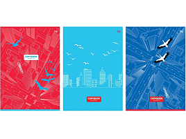 Тетрадь 96л. А4  Т4ск96_вл 12051 "С высоты полета", выб. лак