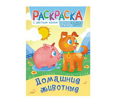 Раскраска+наклейки РН-1086 Домашние животные