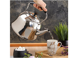 Чайник нержавейка 5л GS-28224 со свистком 3706