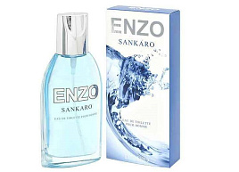 Туалетная вода мужская Enzo Sankaro 95мл.