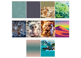 Тетрадь 48л. линия  Т5ск48 06098 "Mix-10. девочки", эконом