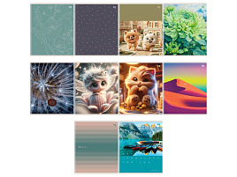 Тетрадь 48л. линия  Т5ск48 06098 "Mix-10. девочки", эконом