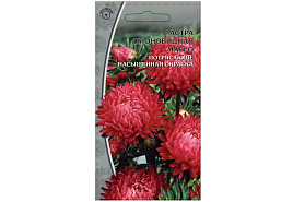 Семена Астра Марго 0,2г ВХ 0179