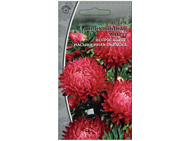 Семена Астра Марго 0,2г ВХ 0179