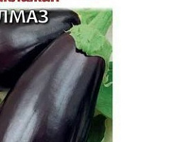 Семена Баклажан Алмаз 0,1г б/п ВХ 8779
