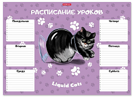 Расписание уроков ErichKrause 58299 Жидкие коты, А3