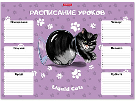 Расписание уроков ErichKrause 58299 Жидкие коты, А3