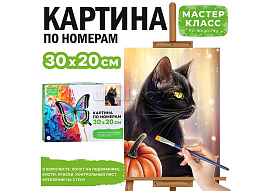 Картина для раскрашивания 20*30 MKR3020-113 Черный кот, по номерам