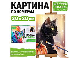 Картина для раскрашивания 20*30 MKR3020-113 Черный кот, по номерам