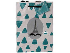 Упаковочная сумочка 14*20 Париж