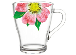 Набор кружек 6шт 1649/6-Д Живая природа. Китайская роза