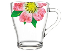 Набор кружек 6шт 1649/6-Д Живая природа. Китайская роза