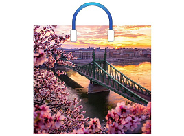 Пакет петля с пласт.ручкой 38*34 Дунай