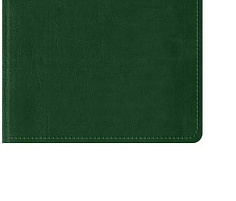 Телефонная книга OfficeSpace PbA5_41371 А5, 80л., кожзам, "Winner" зеленый, с вырубкой