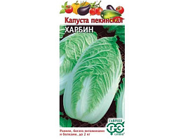 Семена Капуста Пекинская Харбин 0,3г Г 5001