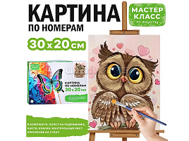Картина для раскрашивания 20*30 MKR3020-15 Влюбленная сова, по номерам