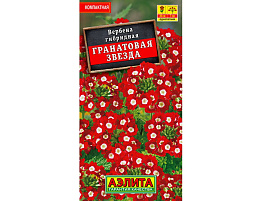 Семена Вербена Гранатовая звезда гибрид 30шт А 1512
