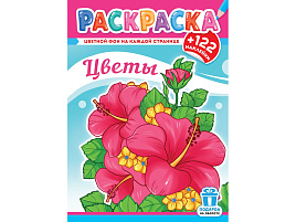 Раскраска+наклейки РН-1250 Цветы