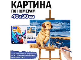 Картина для раскрашивания 30*40 MKR4030-38 Золотистый ретривер, по номерам