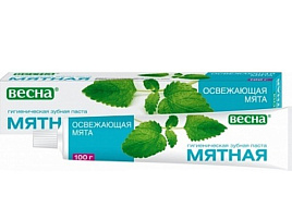 Зубная паста Весна Мятная Осв.мята 90г.в/ф(Самара)8095/9190