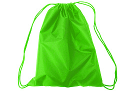 Сумка для обуви ArtSpace М10_1821 зеленый, 1 отделение, 320*420мм