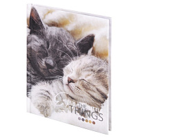 Блокнот 80л. STAFF 114439 "Котики", А6, клетка