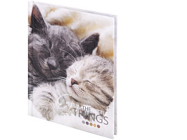 Блокнот 80л. STAFF 114439 "Котики", А6, клетка