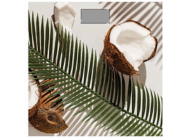 Весы напольные Добрыня DO-3006H Кокос 180кг