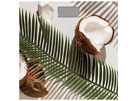 Весы напольные Добрыня DO-3006H Кокос 180кг