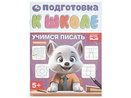 Книга Подготовка к школе 10854-2 Учимся писать 5+