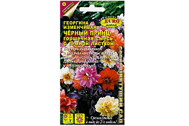Семена Георгина Черный принц смесь 0,2г е/в 2639