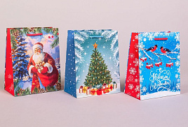 НГ Упаковочная сумочка 18*23 Новый год ч54996