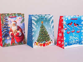 НГ Упаковочная сумочка 18*23 Новый год ч54996