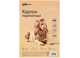 Картон переплетный А4 ArtSpace Пк10_50413 10л., толщина 1,5мм, в пакете