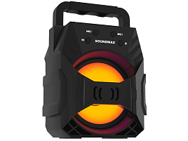 Акустика портативная SMARTBUY SM-PS5027 B