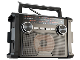 Радиоприемник SOUNDMAX SM-RD2120UB черный
