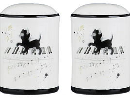 Набор для специй 2пр 824-129 Котейка в/уп