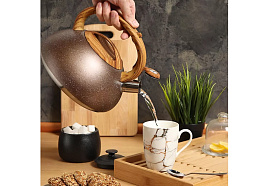 Чайник нержавейка 3л DSC-8800/1688 Даникс со свистком