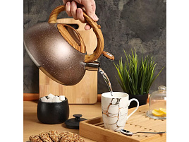 Чайник нержавейка 3л DSC-8800/1688 Даникс со свистком