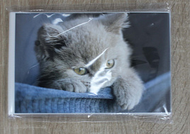 Фотоальбом 36ф. 76965 10*15