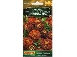 Семена Бархатцы Чернобурка откл. 0,3г А 2540