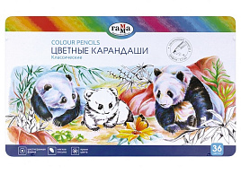 Карандаши цветные 36цв. Гамма 80220215 "Классические", увелич. диаметр грифеля 3,3мм, заточен., метал. пенал