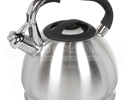 Чайник нержавейка 3л GS-04511/9347 Даникс со свистком