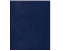 Тетрадь 48л. бумвинил Т5бв48к_12310 Синий клетка офсет